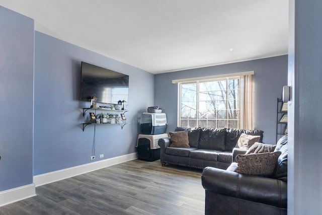 living room featuring hardwood / wood-style flooring