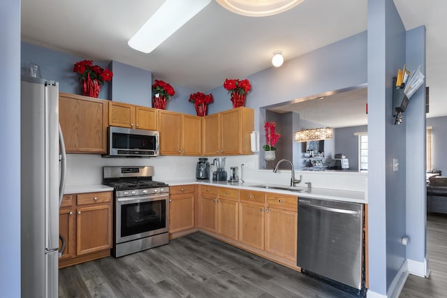 kitchen with appliances with stainless steel finishes, sink, and dark wood-type flooring