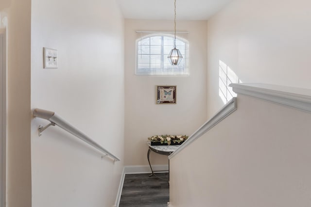 stairs with hardwood / wood-style flooring