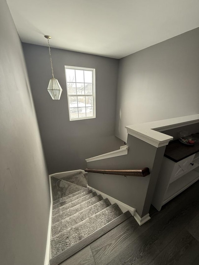 stairs featuring hardwood / wood-style flooring