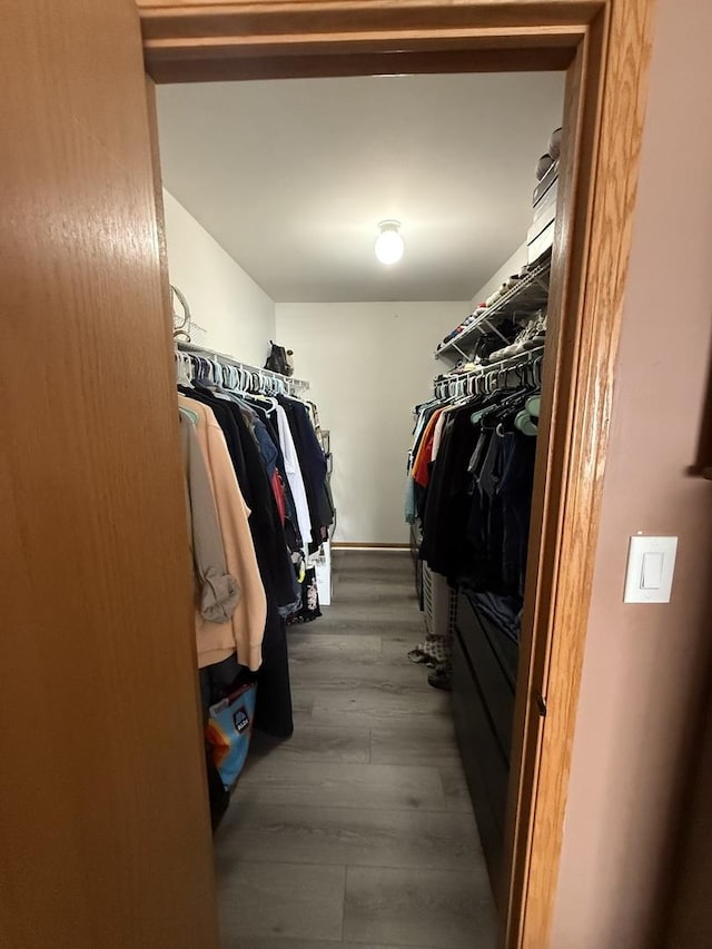 walk in closet with wood-type flooring