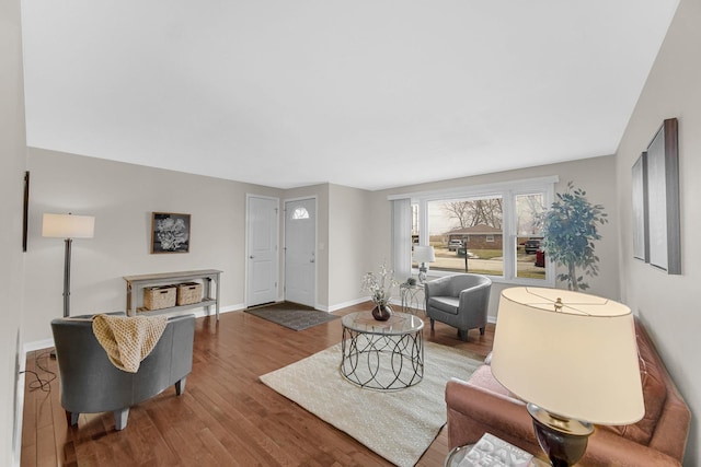 living room featuring wood-type flooring