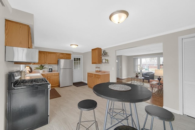 kitchen with sink, crown molding, and stainless steel appliances