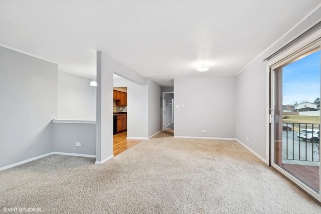 empty room featuring light carpet