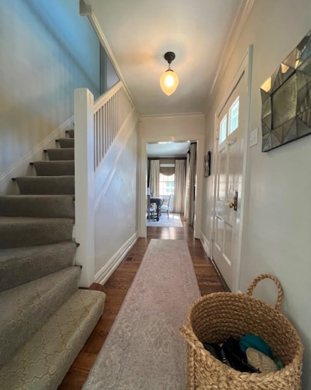 interior space with dark wood-type flooring and ornamental molding