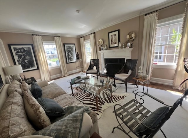 living room featuring ornamental molding