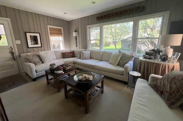 carpeted living room with plenty of natural light