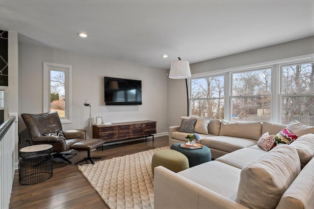 living room featuring dark hardwood / wood-style flooring