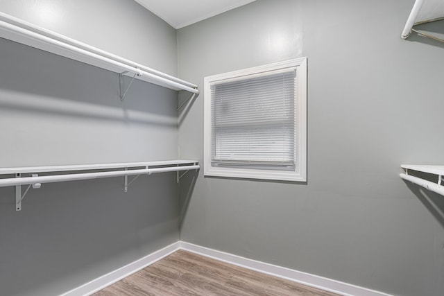 walk in closet featuring hardwood / wood-style flooring