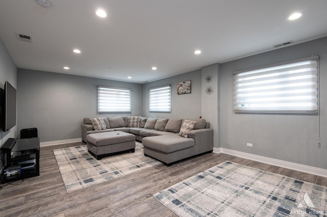 living room featuring wood-type flooring