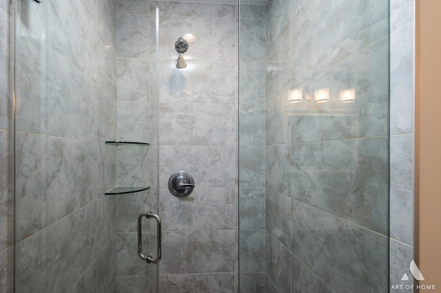 room details with a shower with shower door