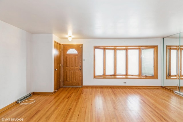 foyer with a wealth of natural light and light wood-type flooring