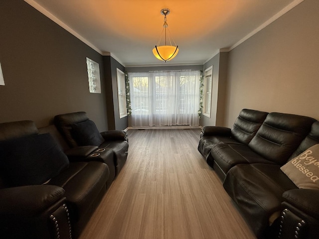 living room featuring ornamental molding and wood-type flooring