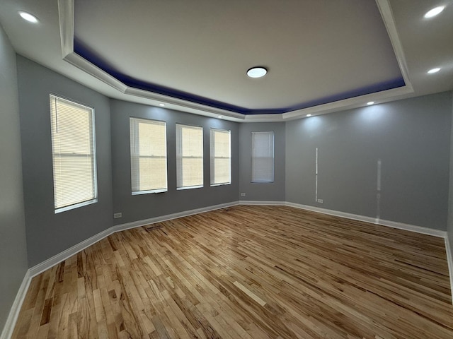 unfurnished room featuring a wealth of natural light, wood-type flooring, and a raised ceiling