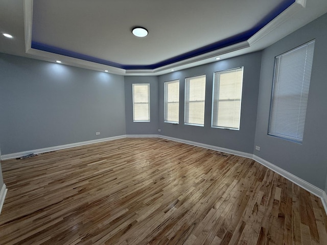 empty room featuring wood-type flooring and a raised ceiling