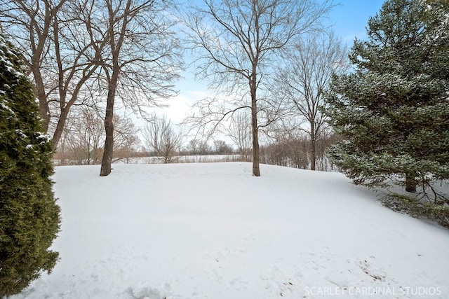 view of yard layered in snow