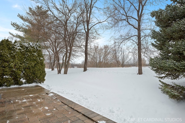 view of snowy yard