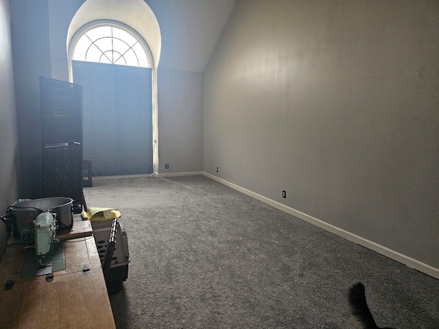 carpeted foyer with lofted ceiling