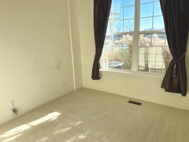 empty room with a wealth of natural light and carpet