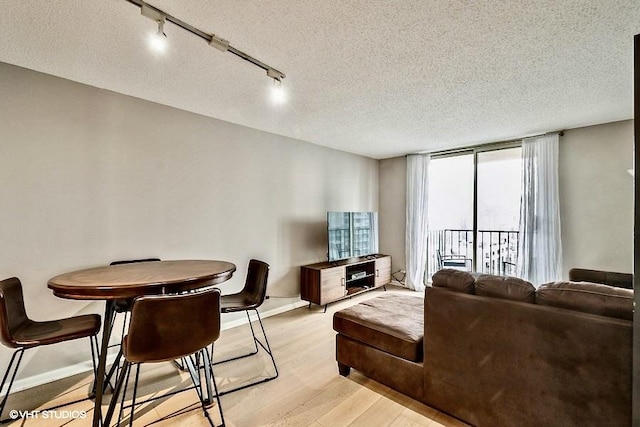 living room featuring light hardwood / wood-style flooring, rail lighting, and a textured ceiling