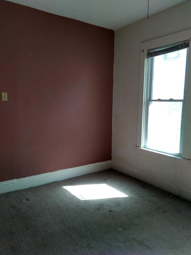 empty room with carpet floors and a wealth of natural light