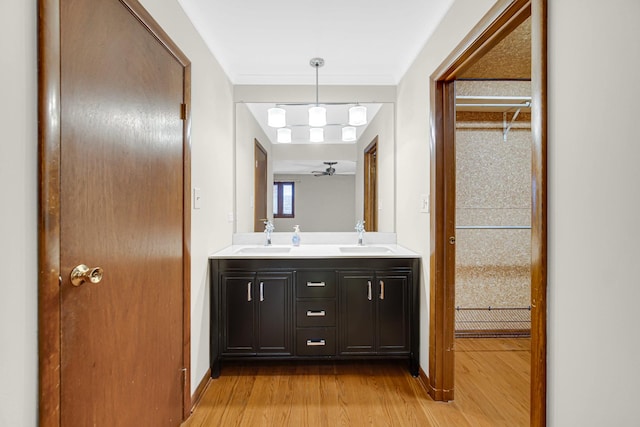 bathroom with vanity and wood-type flooring