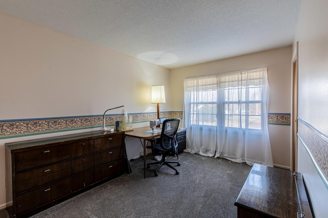 carpeted office space with a textured ceiling