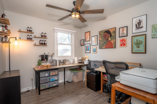 office area with ceiling fan and dark hardwood / wood-style flooring