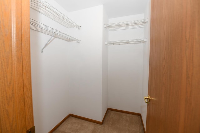 walk in closet with light carpet