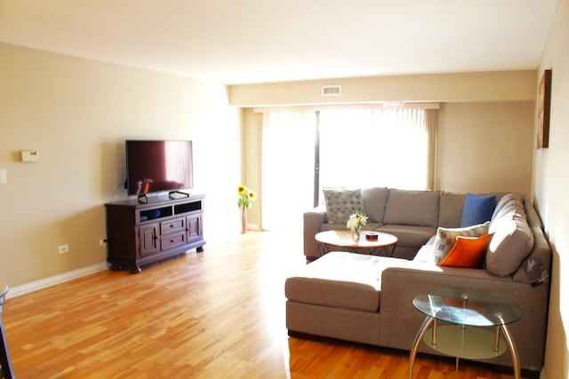 living room with wood-type flooring