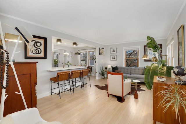 living room with ornamental molding and light hardwood / wood-style floors