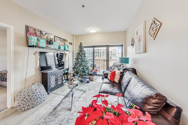 living room featuring light hardwood / wood-style floors