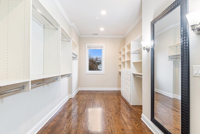 spacious closet featuring dark hardwood / wood-style floors