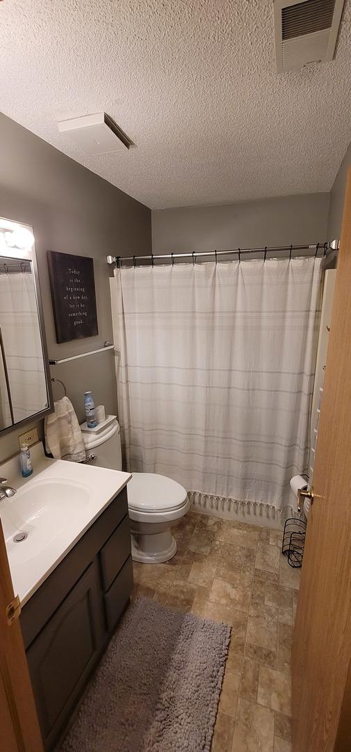 bathroom with vanity, lofted ceiling, a textured ceiling, and toilet