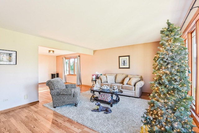 living room featuring light hardwood / wood-style floors