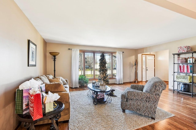 living room with light hardwood / wood-style floors