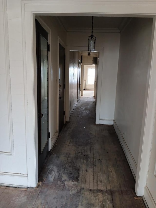 corridor featuring dark wood-type flooring and crown molding