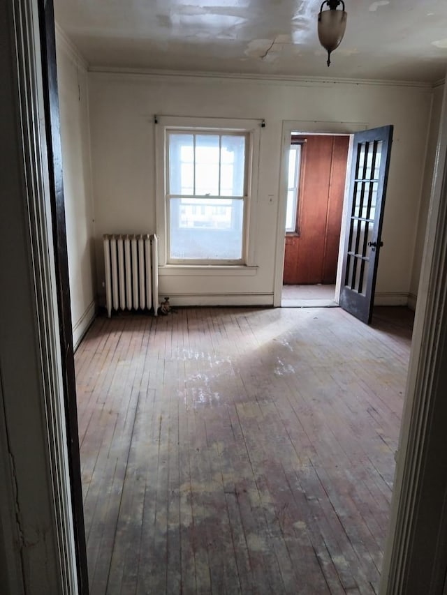 spare room with light hardwood / wood-style flooring, crown molding, and radiator