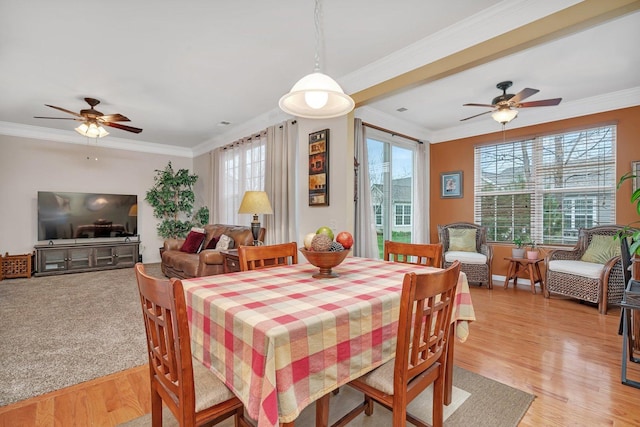 dining room with crown molding, ceiling fan, and light wood-type flooring