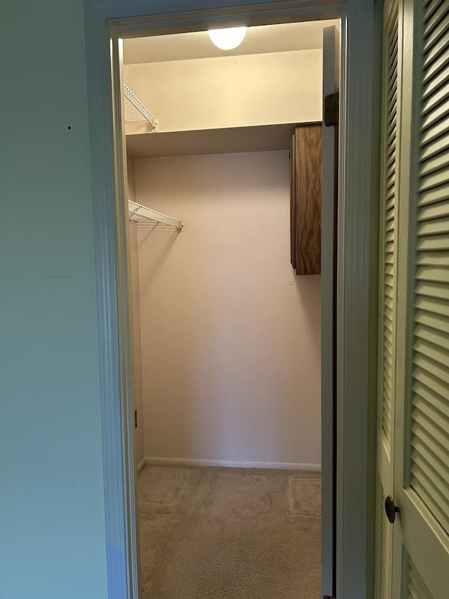 walk in closet with light colored carpet