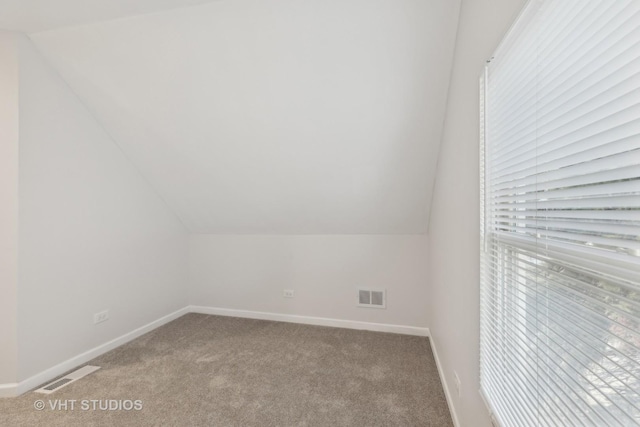 additional living space featuring carpet flooring and vaulted ceiling