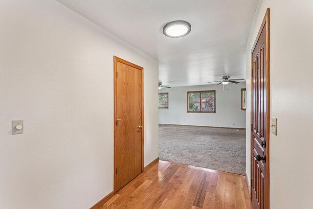 4204 E Dr, Wonder Lake, IL 60097 - hall featuring baseboards and light wood finished floors