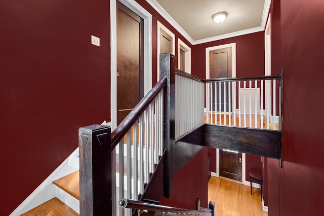 stairs with hardwood / wood-style flooring and ornamental molding