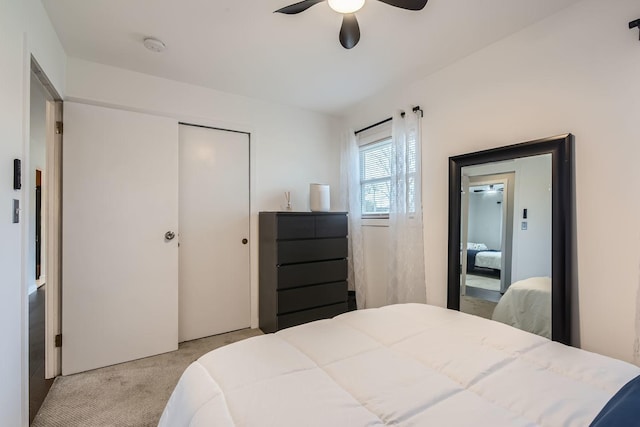 bedroom with ceiling fan, carpet floors, and a closet