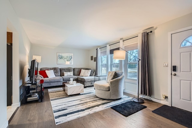 living area featuring baseboards, a wealth of natural light, and wood finished floors