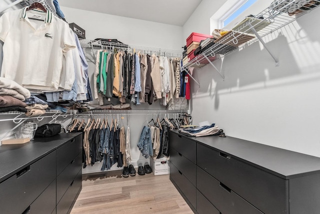 spacious closet featuring light wood-type flooring