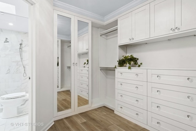 spacious closet featuring hardwood / wood-style flooring