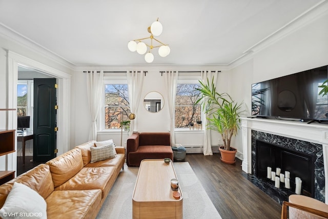 living room with dark hardwood / wood-style flooring, a baseboard heating unit, crown molding, and a high end fireplace