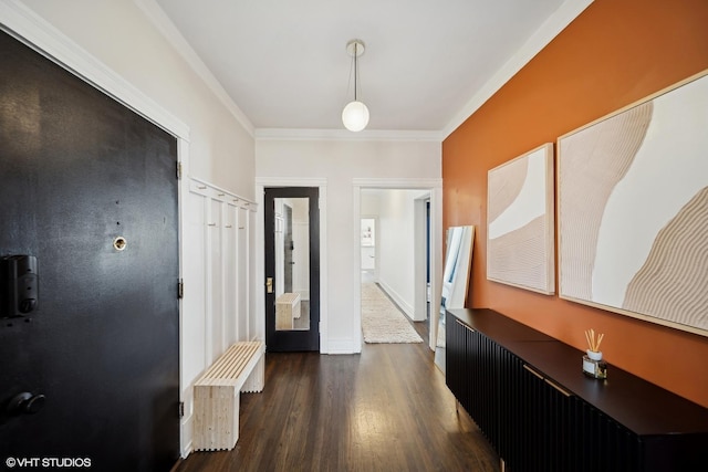 entrance foyer featuring crown molding and dark hardwood / wood-style flooring