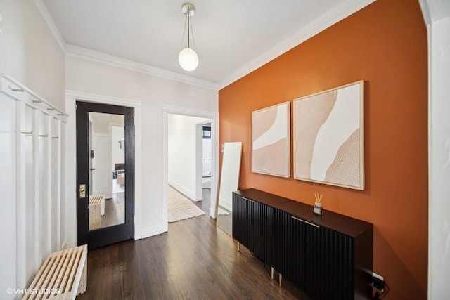 hallway featuring dark wood-type flooring and crown molding